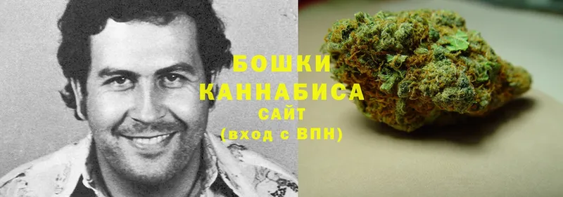 Конопля SATIVA & INDICA  hydra ONION  Бологое 